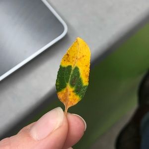 Meet your Posher, Riley